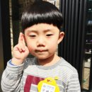 공선재