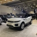 영카랜드 이미지