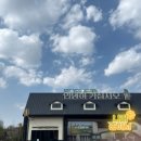 팜팜(농협경제지주(주) 안성팜랜드) | 안성팜랜드 4월초 방문후기 유채꽃 기대했는데 없어서 아쉬웠던