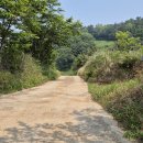 정자마을태양광발전소 이미지