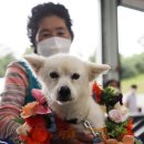 백구로-1 이미지