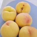 선산분홍복숭아 이미지