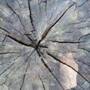 푸른하늘은하수 이미지