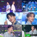 엠어스 뉴스1