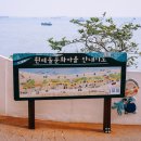 흰여울가게 이미지