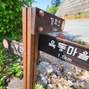 완도스타일 이미지