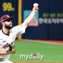 헤이 헤이 이미지