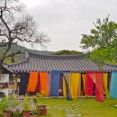 천연누리 이미지