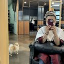 렌미용실 이미지