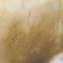 군자초교 이미지