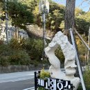 카페고래