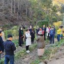 무주반디농장 이미지