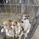 리버트리 이미지