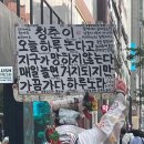 영창목장 | ๑ 그래도 여름이 있어야겠지 。。๑