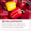 파프리카 이미지