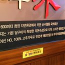 흑돼지철판복음 이미지