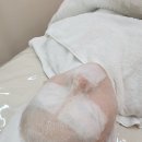 팡팡테라피 이미지