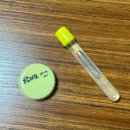 항세상외과의원 | (추천)신촌역 여의사쌤 계시는 항의원 후기 [항미소외과의원]