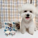 프로지스 이미지