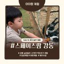강동파출소 | 강동 실내놀이 농장 체험 먹이주기 체험 가능한 스페이스팜