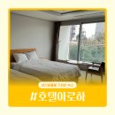 성산등용로 | 제주 성산 숙소 추천 | 가성비 좋은 호텔아로하 스탠다드 트윈룸 후기