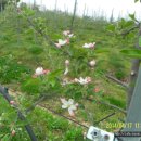 엔비(Envy) 이미지