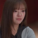 정연 마이데일리
