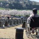 [다시! 제주문화] (81) &#34;끊임없이 재기억해야&#34; 진실·화해·상생의 4·3기록 이미지