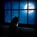 드로잉문(Drawing Moon)