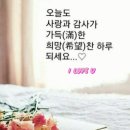 하늘바다 이미지