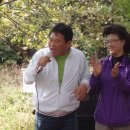 삼랑진중학교 이미지