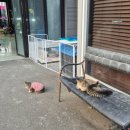 월드세차장 이미지