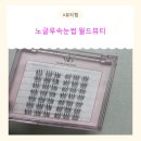 노셀프뷰티 | 접착제 없이 가능한 노글루속눈썹 월드뷰티로 2분 완성 셀프속눈썹 후기