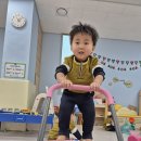 아이사랑꿈터견학 이미지