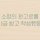 강남 요미독앤캣 강아지 분양 고양이 분양 이미지