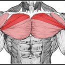 하이핏짐 이미지