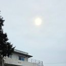 희야네칼국수앤수육 | 보말이네 제주도 애월 보말칼국수 맛집