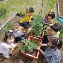 보령푸드 이미지