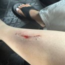 홍수농장 | 발리 우붓 일일투어 후기｜티르타강가·뜨갈랑랑·커피농장, 마이리얼트립 프라이빗 투어 리뷰, 카페...