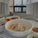 [일상/병원] 제주 양한방병원 솔담한방병원 4인실 입원 후기 (+ 준비물)