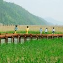 순천 아이와 가볼만한곳 순천 데이트코스 순천만국가정원 순천만 정원 이미지