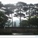 금강신세 이미지
