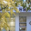 헬로우동물병원 여의도점 이미지