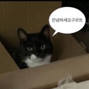 영덕 오션뷰 카라반 캠핑장 이미지