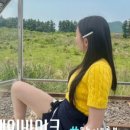 쏭자스테이 이미지