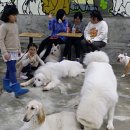 개네엄마 이미지