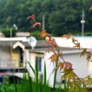 상곡제방길 이미지