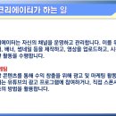 유튜브크리에이터전문지도사2급자격증과정 이미지