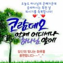 한울글로벌태양광발전소 | ■ 비싼 태양광·풍력 짓는 게 실용인가 제목없음 원전 건설 15년 넘지만 태양광·풍력도 10년 안...
