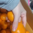 범수네농장 이미지